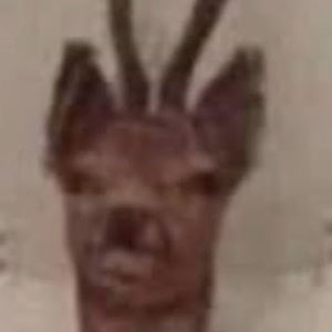 Meet your Posher, Thomas